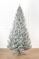 Ялинка лита "Віденська" ЗАСНІЖЕНА 3,00м