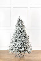 Ялинка лита "Лапландська" ЗАСНІЖЕНА 2,30м