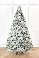 Ялинка лита "Лапландська" ЗАСНІЖЕНА 3,00м
