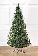Ялинка лита "Віденська" Зелена 3,00м