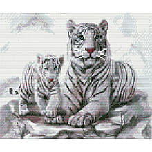 HX011 Набір алмазної мозаїки на підрамнику Білі тигри, 30х40 см