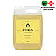 Масажне масло "Citrus" 5 літрів (Цитрусове)
