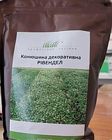 Рівендел , біла конюшина ,1 кг, DLF Seeds & Science (Данія), Професійне насіння