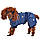 Зимовий комбінезон для собак «USA», S синій, зимовий одяг для собак дрібних порід, фото 6