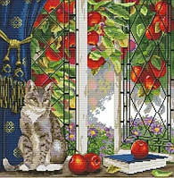 Набор для вышивания крестиком " Кот и красные яблоки", размер картины 41 х 41 см