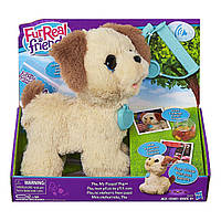 Інтерактивне цуценя Пакс FurReal Friends (B3527)