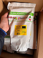 Горох солодкий польський KELVEDONU 1кг