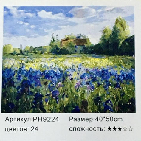 Картина-раскраска по номерам на холсте 40*50 РН9224 Поле (н-р акр.красок+3 кисти), фото 2