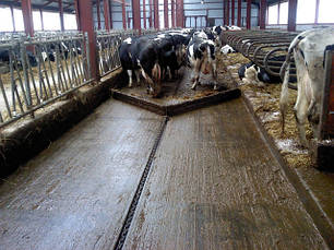 Гігієна на фермі