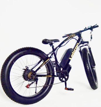 Fat 2025 bike lebron