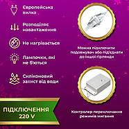 Новорічна яскрава USB гірлянда-штора на 160 LED 2х2 м та 8 ниток Мультиколір, фото 6