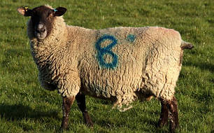 Спреї і олівці для маркування