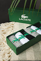 Комплект мужских носков Lacoste (Лакоста) Спортивные носки короткие Набор носков в коробке 6 пар