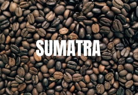 Кава Sumatra