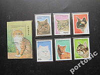 Блок+6 марок Конго кішки, коти MNH повна
