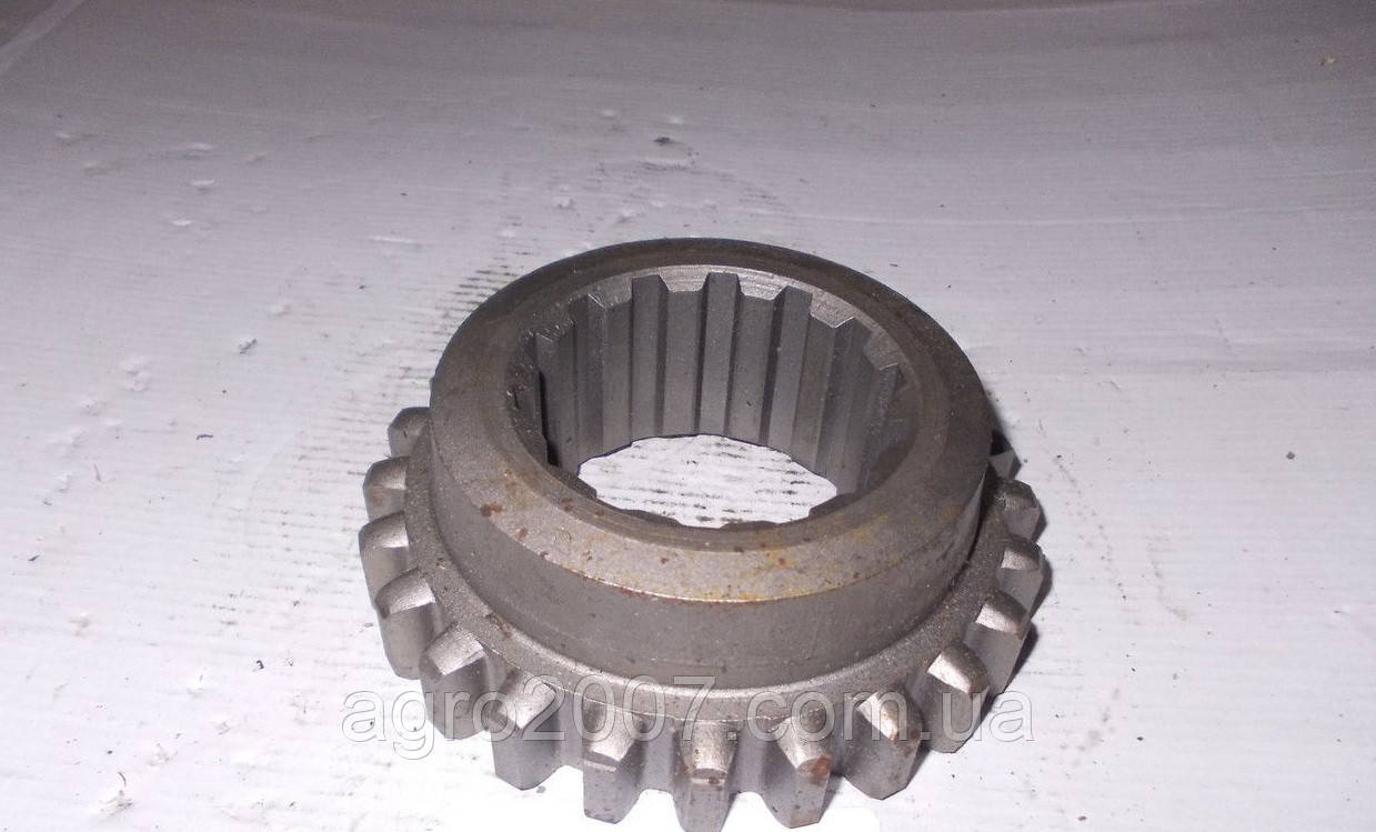 Шестірня 1 передачі ЮМЗ 40-1701054 Z=24, фото 1