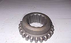 Шестірня 1 передачі ЮМЗ 40-1701054 Z=24