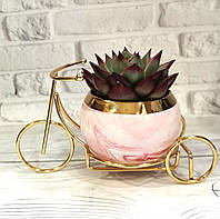 Горшок керамический Велосипед розовый для комнатных растений суккулентов