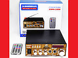 Підсилювач звуку BM AUDIO BM-606BT FM USB Блютуз + Караоке ORG, фото 3