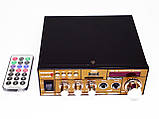 Підсилювач звуку BM AUDIO BM-606BT FM USB Блютуз + Караоке ORG, фото 4
