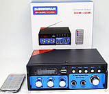 Підсилювач звуку BM AUDIO BM-600BT FM USB Блютуз + Караоке ORG, фото 3
