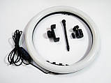 Кільцева LED-лампа SMN-12 30 см 1 кріп.тел USB ORG, фото 6