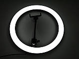 Кільцева LED-лампа SMN-12 30 см 1 кріп.тел USB ORG, фото 9