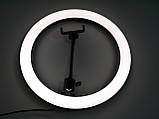 Кільцева LED-лампа SMN-12 30 см 1 кріп.тел USB ORG, фото 10
