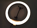 Кільцева LED-лампа YQ-350 34 см 220 V 1 кріп.тел. + пульт ORG, фото 10