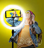 Кільцева LED-лампа YQ-350 34 см 220 V 1 кріп.тел. + пульт ORG, фото 11