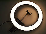 Кільцева LED-лампа AL-360 36 см 220 V 1 кріп.тел + пульт ORG, фото 10
