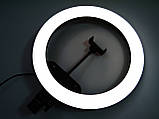 Кільцева LED-лампа AL-360 36 см 220 V 1 кріп.тел + пульт ORG, фото 11