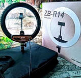 Кільцева LED-лампа ZB-R14 35 см 220 V 1 кріп.тел. + чохол ORG, фото 4