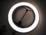 Кільцева LED-лампа ZB-R14 35 см 220 V 1 кріп.тел. + чохол ORG, фото 10