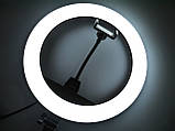 Кільцева LED-лампа ZB-R14 35 см 220 V 1 кріп.тел. + чохол ORG, фото 11