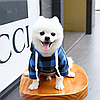Худі для собак з кишенею Pet Style "Сосиска" Чорно-синя клітина XS, фото 6