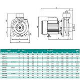 Відцентровий насос SHIMGE SHFm6B (1.5 кВт, Нmax 14,7 м, Qmax 1200 л/хв), фото 3