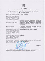 Лицензия на перевозку пассажиров легковыми автомобилями под заказ 1