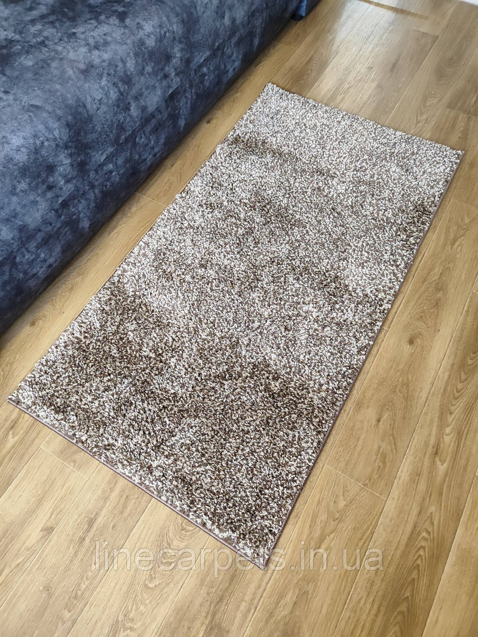 Ворсистий килим ШЕГГИ SH 60 бежевий, фото 1