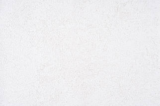 Шпалери спінений вініл на паперовій основі 1 м Слов'янський шпалери 585310н Шпалери 1,06 м X 10,05 м Примарно-білий