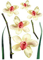 Декоративная наклейка Арт-Декор 15 Белые орхидеи 50 см X 70 см Огнеупорный кирпич 2000000480732