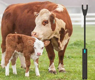 Електропоганячі для тварин