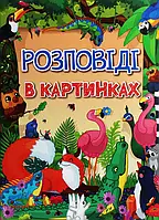 Книга Розповіді в картинках