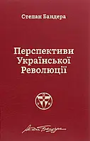 Книга Перспективи української революції