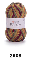 Нитки та пряжа для в'язання шкарпеткова напіввовна 75/25 FORZA YarnArt Форза ЯрнАрт № 2509