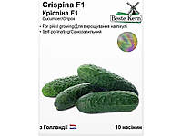 Огурец Криспина F1 (10 семян)/(5 пачек в упаковке) ТМ Beste Kern FG