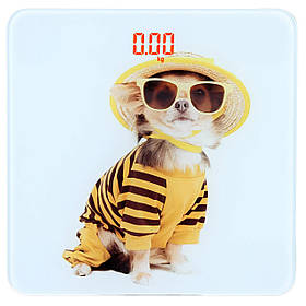 Ваги підлогові скляні (квадратні) на 180 кг Domotec MS-2019 Собачка (5381)