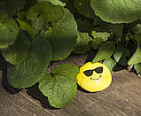 Набір для творчості Розфарбовуємо камені від Creativity for Kids, фото 3