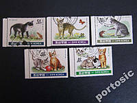 5 марок Корея 1991 коти кішки