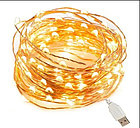 Гірлянда 100 led нитка довжина 10м c USB для 5v, powerbank Warm White, фото 2